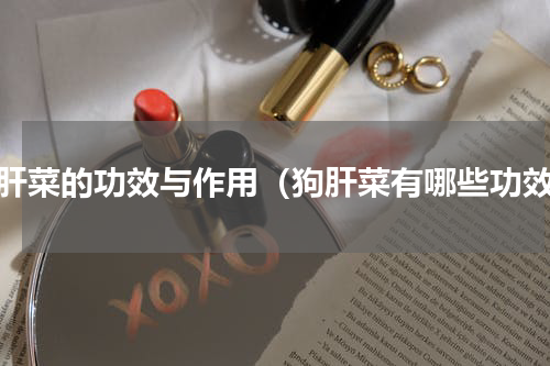 狗肝菜的功效与作用（狗肝菜有哪些功效）