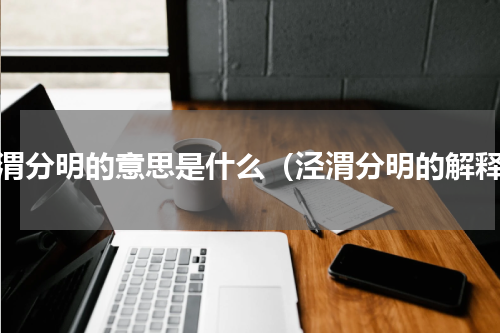 泾渭分明的意思是什么（泾渭分明的解释）