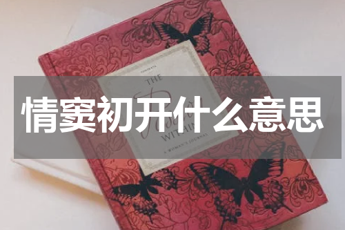 情窦初开什么意思