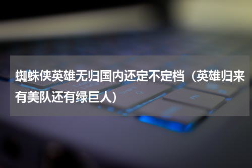 蜘蛛侠英雄无归国内还定不定档（英雄归来有美队还有绿巨人）