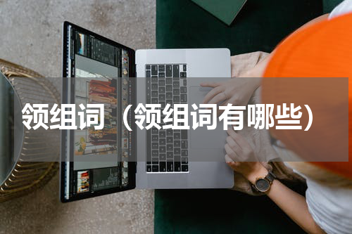 领组词（领组词有哪些）