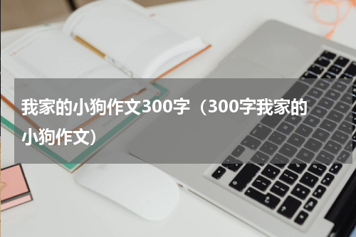 我家的小狗作文300字（300字我家的小狗作文）