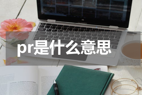 pr是什么意思