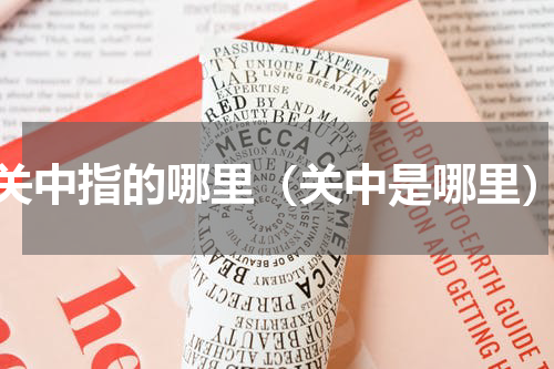 关中指的哪里（关中是哪里）