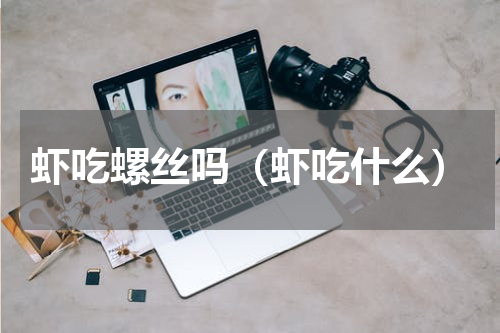虾吃螺丝吗（虾吃什么）