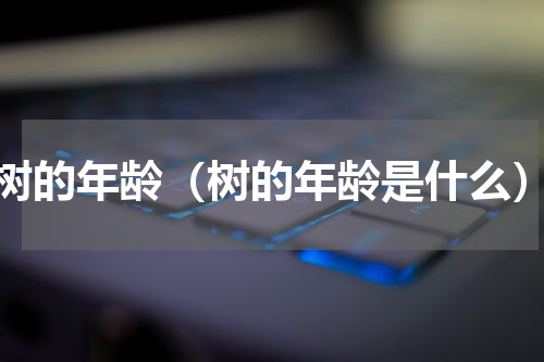 树的年龄（树的年龄是什么）