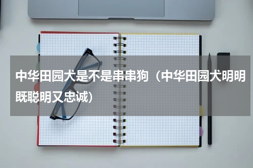 中华田园犬是不是串串狗（中华田园犬明明既聪明又忠诚）