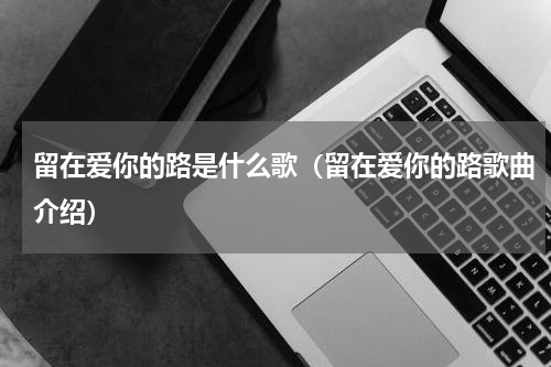 留在爱你的路是什么歌（留在爱你的路歌曲介绍）