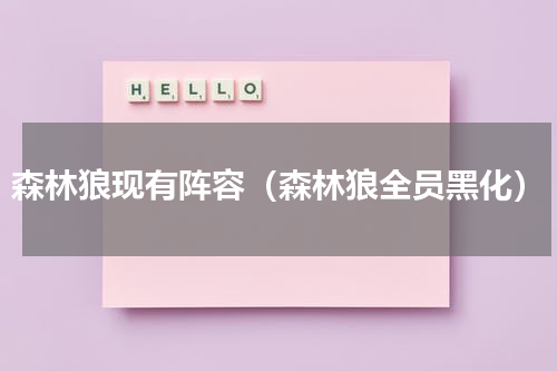 森林狼现有阵容（森林狼全员黑化）