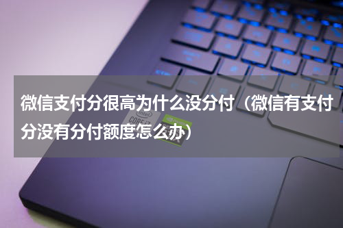 微信支付分很高为什么没分付（微信有支付分没有分付额度怎么办）