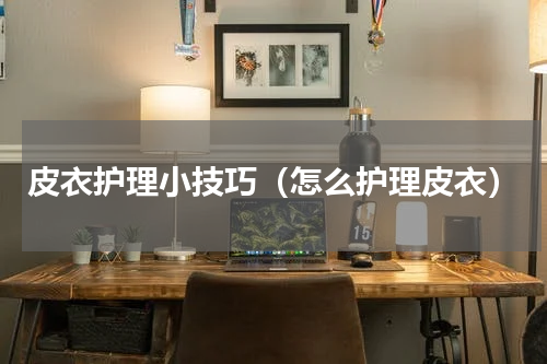 皮衣护理小技巧（怎么护理皮衣）
