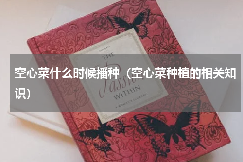 空心菜什么时候播种（空心菜种植的相关知识）