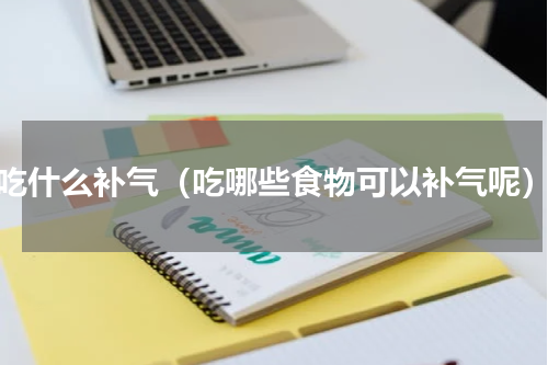 吃什么补气（吃哪些食物可以补气呢）