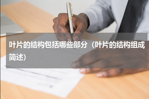 叶片的结构包括哪些部分（叶片的结构组成简述）