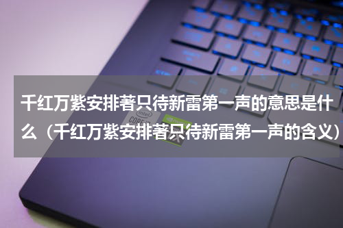 千红万紫安排著只待新雷第一声的意思是什么（千红万紫安排著只待新雷第一声的含义）