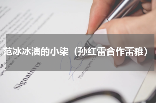 范冰冰演的小柒（孙红雷合作蕾雅）