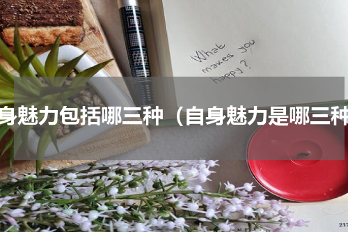 自身魅力包括哪三种（自身魅力是哪三种）