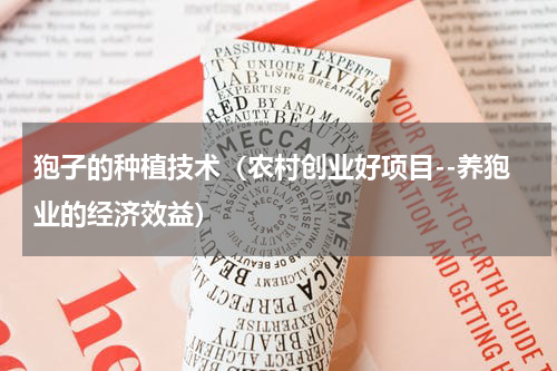 狍子的种植技术（农村创业好项目--养狍业的经济效益）