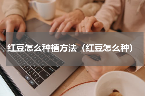 红豆怎么种植方法（红豆怎么种）