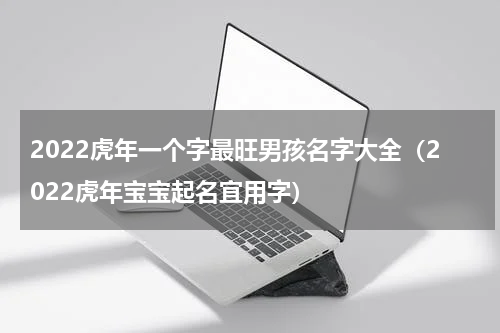 2022虎年一个字最旺男孩名字大全（2022虎年宝宝起名宜用字）