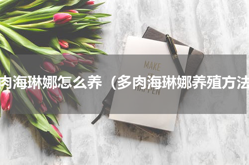 多肉海琳娜怎么养（多肉海琳娜养殖方法）