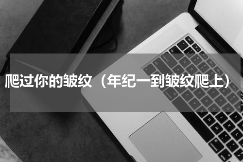 爬过你的皱纹（年纪一到皱纹爬上）