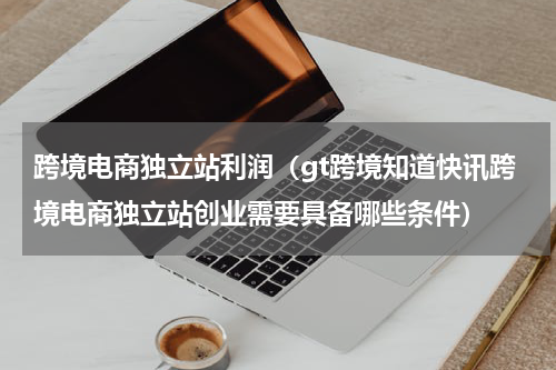 跨境电商独立站利润（gt跨境知道快讯跨境电商独立站创业需要具备哪些条件）