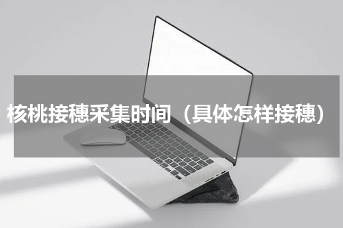 核桃接穗采集时间（具体怎样接穗）