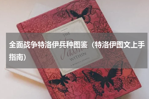 全面战争特洛伊兵种图鉴（特洛伊图文上手指南）