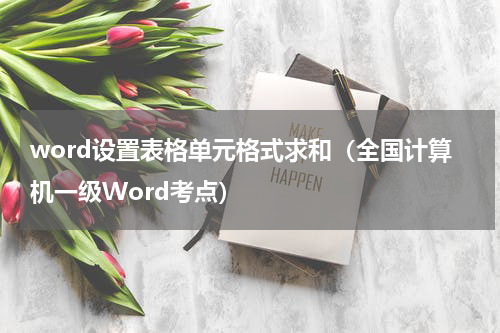 word设置表格单元格式求和（全国计算机一级Word考点）