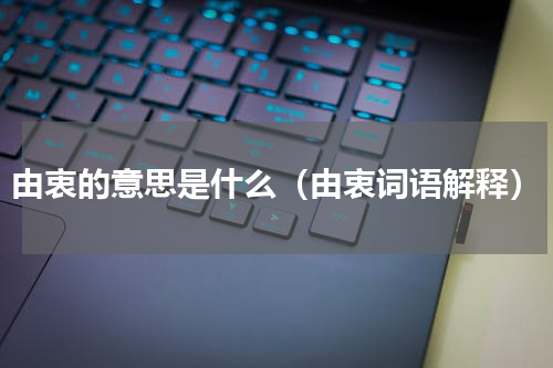 由衷的意思是什么（由衷词语解释）