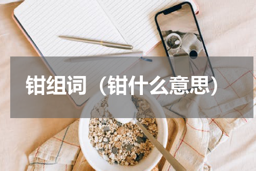 钳组词（钳什么意思）