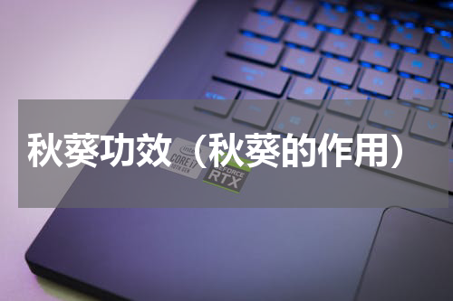秋葵功效（秋葵的作用）