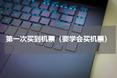 第一次买到机票（要学会买机票）