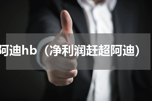 阿迪hb（净利润赶超阿迪）