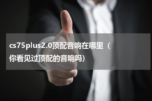 cs75plus2.0顶配音响在哪里（你看见过顶配的音响吗）