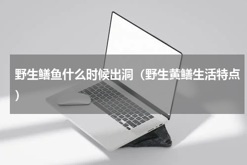野生鳝鱼什么时候出洞（野生黄鳝生活特点）