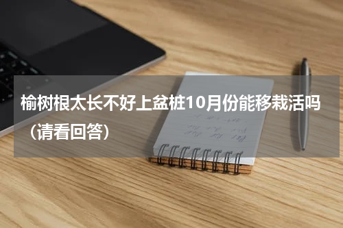 榆树根太长不好上盆桩10月份能移栽活吗（请看回答）