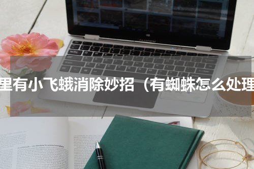 家里有小飞蛾消除妙招（有蜘蛛怎么处理）