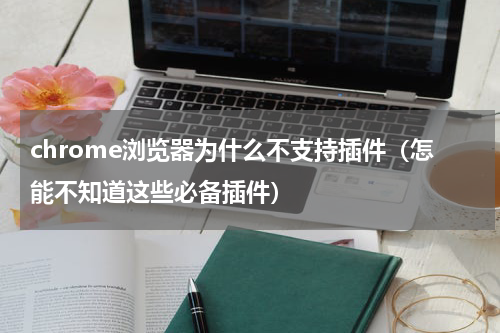 chrome浏览器为什么不支持插件（怎能不知道这些必备插件）