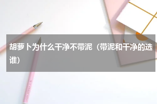 胡萝卜为什么干净不带泥（带泥和干净的选谁）