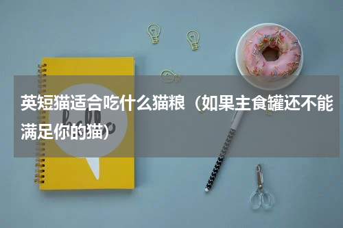 英短猫适合吃什么猫粮（如果主食罐还不能满足你的猫）