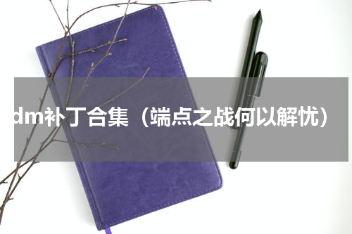 3dm补丁合集（端点之战何以解忧）