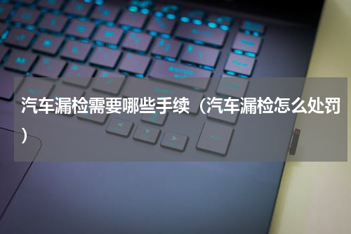 汽车漏检需要哪些手续（汽车漏检怎么处罚）