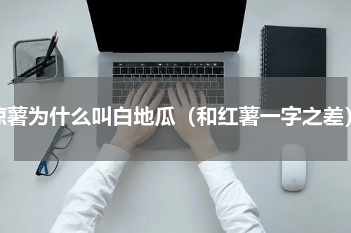 凉薯为什么叫白地瓜（和红薯一字之差）