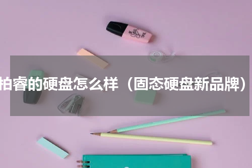柏睿的硬盘怎么样（固态硬盘新品牌）