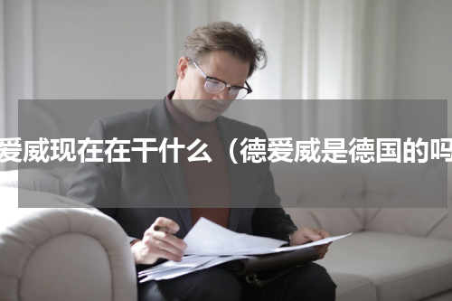 德爱威现在在干什么（德爱威是德国的吗）