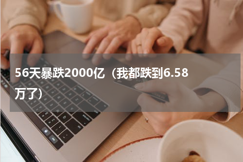 56天暴跌2000亿（我都跌到6.58万了）