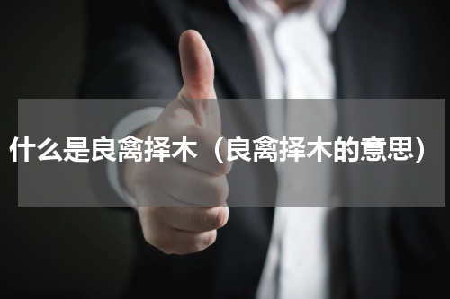 什么是良禽择木（良禽择木的意思）