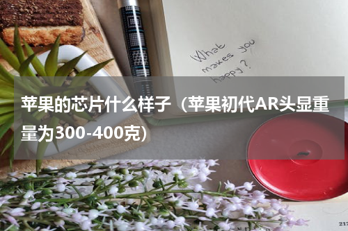 苹果的芯片什么样子（苹果初代AR头显重量为300-400克）